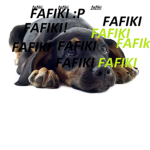 fafiki