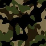 Military of Robloxias