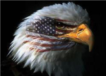 American Eagles Clan