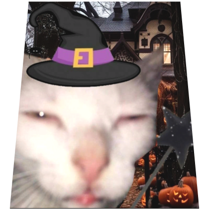 Halloween Cat Funny Cape