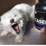 Nilxl2