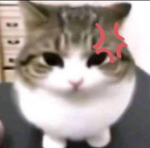 hello my name is mike