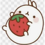 strawberry._.squad:)