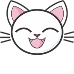 GATITOS FOLLOWERS