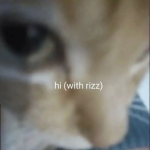 REEbex