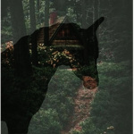 • Moss • Chaos • Equine • || M.C.E