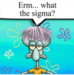THE ERM GROUP