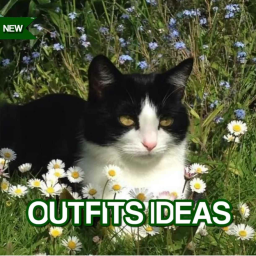 [NEW  🍄] Outfits Ideas
