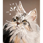 Duck Cat Studios (DCS)