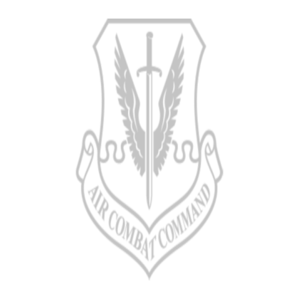 Air Combat Command Emblem