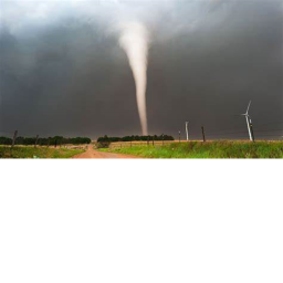 Tornado Disaster