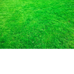 Grass religion