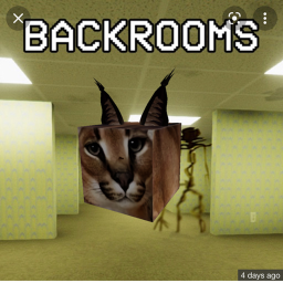 floppa in the back rooms
