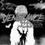 vengeance | 復仇