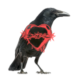 CrowleyThornheart Network