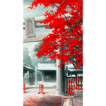 boi's fan group for fun