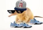 THE GAMING GOAT