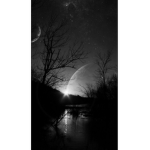 Midnight Crows/wolves