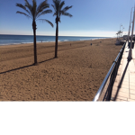 Sunny Beaches!