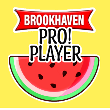 ✨ The ULTIMATE Brookhaven Quiz for PROS✨