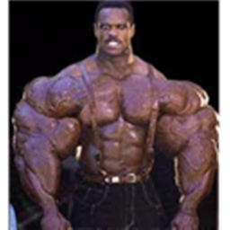 Weight Lifting Simulator 5