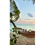 Tropical bears island