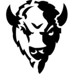 buffalo beef