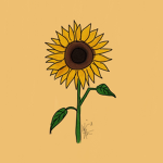-Sun flower-