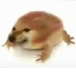 "yee"