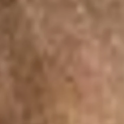 floppa texture