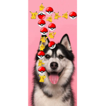 Dogs 980