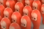 The Bean Babies.