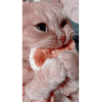 M’S Strawbrry