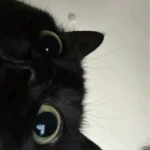 Echeleon Group Thumbnail