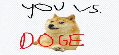 You versus Doge