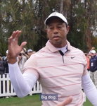 offical tigerwoods fanclub