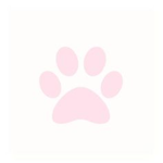 'kitty pawz