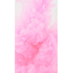 PinkQueenSquad
