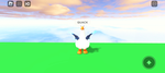 DUCKY W