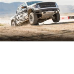 THE RAPTOR GROUP