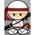 White Ice Ninja Group
