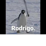 Dando Robux a amigos :)