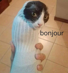 It won’t let me type stuff so sorry