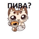 alckashi