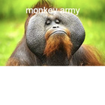 MONKEY.ARMY