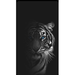 Tiger classy tiger