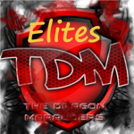 The Dragon Marauders Elite Division