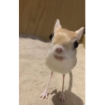 %Bon3s%