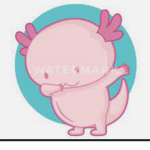 ・Axolotl fan group・