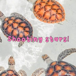 Shooting Stars Team ! <3